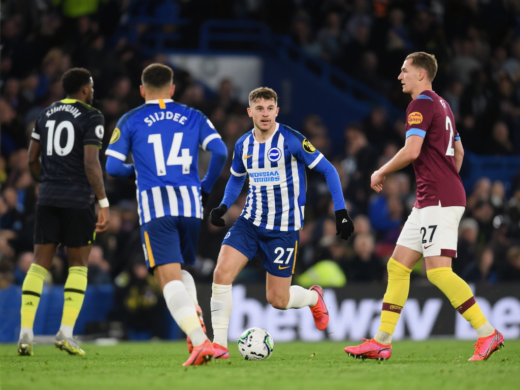 适应湿冷的 适应湿冷的